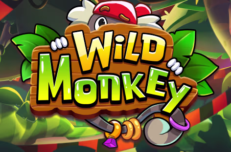 Wild Monkey